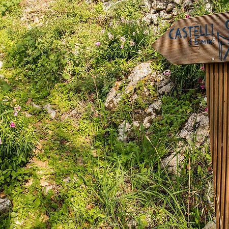 Castelli Olive Press Acharavi (Corfu) Exterior foto