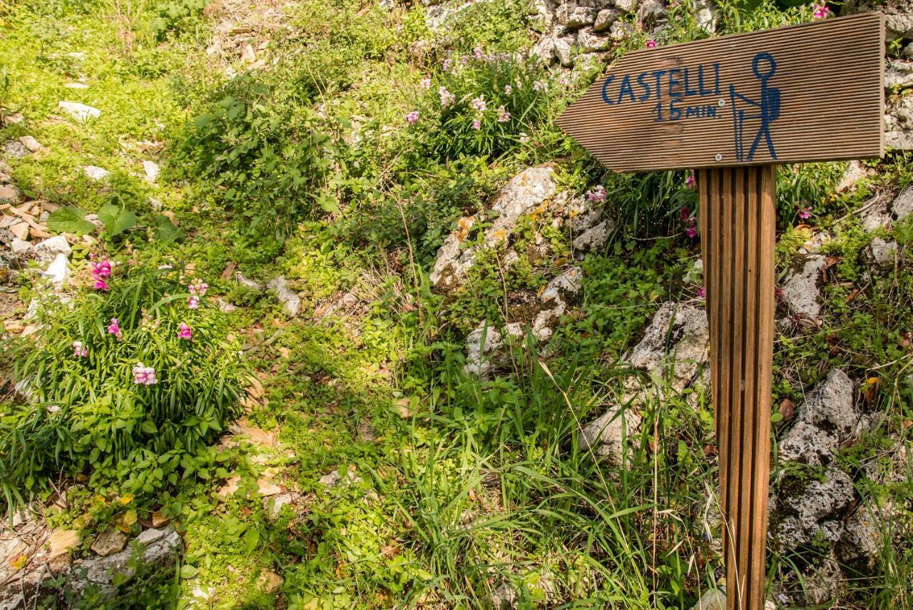 Castelli Olive Press Acharavi (Corfu) Exterior foto